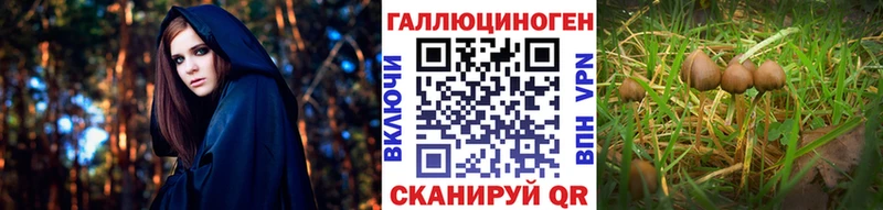 Галлюциногенные грибы ЛСД  Купить где  Зея 